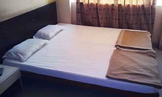 Gopi Hotel And Restaurant, Banswara 3